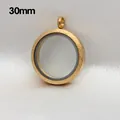 Round frosted gold stainless steel glass floating locket pendant 30mm for DIY jewelry - Frosted Pendant Only (Without Chain) / 30mm (Outer Diameter) / Gold