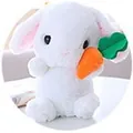 Süßes weißes Plüschkaninchen mit langen Ohren und Karotte, intelligentes Spielzeug - 30cm All-Round Version / Weiß mit Karotte