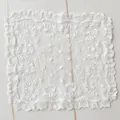 Detailed view of a square white lace mesh doily with intricate floral embroidery - 25cm / White