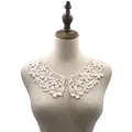 Detailed view of an elegant cream embroidered floral lace collar displayed on a mannequin - Apricot