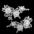 Close-up of white water-soluble lace embroidery with stereoscopic hollow flower pattern - Symmetric Floral Pair / White