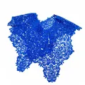 Detailed view of the royal blue hollowed-out lace embroidered decorative collar - Tops / Blue