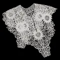 Detailed macro view of an intricate white lace hollow-out floral embroidered faux collar. - White