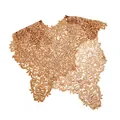Detail showing intricate gold lace hollow embroidery on an elegant fake collar shawl - Tops / Gold