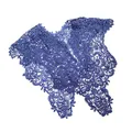 Elegant royal blue lace hollow-out floral embroidered fake collar short capelet for women - Tops / Dark Blue