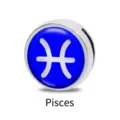 Hochwertiges 8mm Silber Edelstahl Fische Sternzeichen Charm für DIY Schiebearmbänder - 8mm / Fische