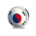 Charm a scorrimento bandiera Corea del Sud 8mm per braccialetti e cinture DIY moda - Stile Bandiera Corea del Sud (Asia Storia 2) / 8mm