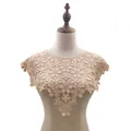 Aprikosenfarbener bestickter Blumen-Spitzenkragen Schal für DIY Kleidungsdekoration - Beige