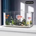 Kleines transparentes Acryl-Aquarium für den Schreibtisch, 32x17x14cm - Klein Ohne Abdeckung / 32x17x14cm