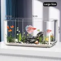 Großes transparentes Acryl-Aquarium für Goldfische und Tischdekoration im Büro - Groß Ohne Abdeckung / 33x21x14cm