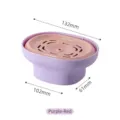 Purple and pink dish soap dispenser with manual press pump and dimensions, 132x102x61mm - Fuschia