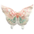 Detailed macro view of colorful ethnic butterfly embroidery patch on organza fabric - Colorful