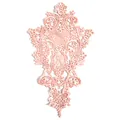 Primo piano di elegante toppa in pizzo ricamato rosa con motivi floreali decorati. - Blush