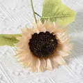 Künstliche Sonnenblume einzelne Kunstblume Champagner Sonnendekor Fotografie Requisite - Große Sonnenblume - Champagner