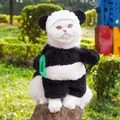 Cute panda pet costume detail view showing charming black and white cat clothing design. - S (Back Length 24cm) / Panda Transformation Set