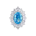 S925 Silver Blue Gemstone Cluster Ring Elegant Luxury High Carbon Diamond Women Jewelry - Size 9 / Luxury Cluster (FDJZ-092) / Aquamarine