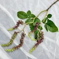 Rama de fruta artificial planta falsa hoja vid decoración de pared para sala - Púrpura