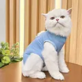 Cat post-surgery recovery suit, breathable blue elastic pet clothes for anti-licking care. - S / Blue
