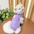 Purple cat recovery suit detail view showing soft elastic fabric and back buckle design. - S / Purple