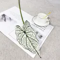 Artificial Caladium leaf detail shot, realistic white leaf with green veins, home decor plant. - Single Caladium Leaf with White Veins