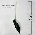 Artificial begonia leaf single stem green plant wall decor 79cm height detailed view - Single Begonia Leaf