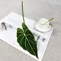 Artificial Alocasia leaf decorative green plant single stem realistic leaf for home decor - Single Caladium Leaf - Light Green