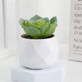 Plante succulente artificielle en pot avec pot géométrique blanc pour la décoration intérieure. - Style E