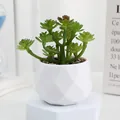 Plante succulente artificielle en pot en plastique geometrique blanc pour deco maison - Style F