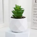 Plante Succulente Artificielle en Pot Fausse Verdure avec Pot Géométrique Blanc Déco - Style G