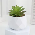 Plante succulente artificielle en pot en plastique géométrique blanc pour le décor - Style H
