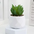 Plante succulente artificielle en pot géométrique blanc pour decoration interieure. - Style J