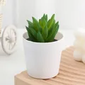 Plante succulente artificielle en pot blanc, petite décoration de bureau variante. - Style 4