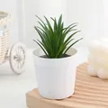 Artificial succulent potted plant mini fake green plant in white pot for home desktop decor. - Style 6
