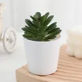 Artificial succulent potted green plant with white ceramic pot for indoor home decor. - Style 8