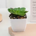 Petite plante grasse artificielle en plastique pot blanc pour decoration de bureau - N° 1
