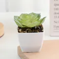 Plante grasse artificielle en pot carré blanc fausses plantes vertes pour déco de bureau. - N° 2
