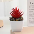 Mini plante succulente artificielle pot rouge fausse plante deco maison en plastique - N°3