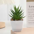 Artificial succulent potted plant fake green plant mini desktop ornament for home decor. - Size 5