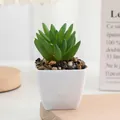 Artificial succulent plant in white pot fake green plant mini desktop home decor SKU - Size 6