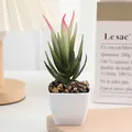 Artificial succulent potted plant mini green plant plastic fake bonsai for home desktop decor - Size 10