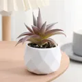 Artificial succulent plant detail shot in white geometric pot for office desktop decor. - Style D