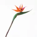 Artificial Bird of Paradise Flower Branch 83cm Long Stem Fake Plant Orange Home Decor - Autumn Orange