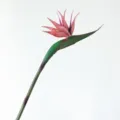 Artificial Bird of Paradise flower stem, autumn purple, 83cm tall faux plant for home decor. - Autumn Purple