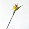 Artificial Bird of Paradise flower long stem soft rubber tropical plant decor home living room - Autumn Orange Yellow