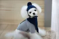 Adorable white puppy wearing navy blue knitted pom-pom hat and matching winter scarf set - S / Navy Blue
