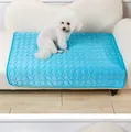 Nahaufnahme eines Pudels auf einer atmungsaktiven blauen Eisseiden-Kühlmatte für Tiere. - XS (40x30cm) / Eisseide Kreis - Blau