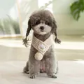 Cozy beige knitted pet scarf with cute bear patch and pompom shown on a small poodle - S / 40cmx5cm / Off White