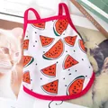 Atmungsaktives Sommer-Haustier-Unterhemd mit buntem Wassermelonen-Print und rosa Saum - XS Länge 20 Brust 30 / Oberteile / Kühlendes Träger-Modell - Wassermelone