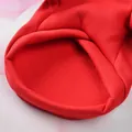 Detailed view of soft red fleece lining in warm winter pet clothes for cats - XS / Plain Red Hoodie