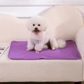 Absorbent purple washable pet training mat for puppies, leak-proof reusable dog pee pad - XS / 45x35cm / Purple